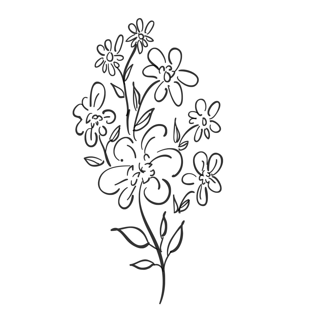 Illustration of florals